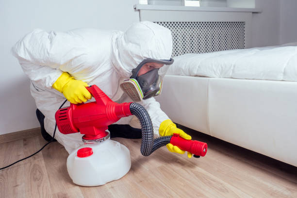 Best Wasp Removal Services  in Chalco, NE