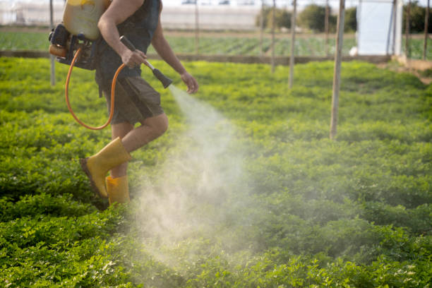 Best Local Pest Control Services  in Chalco, NE