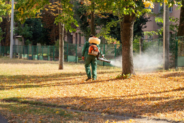 Best Termite Control Services  in Chalco, NE