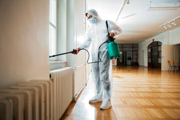 Best Wasp Removal Services  in Chalco, NE