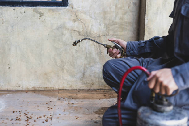 Professional Pest Control in Chalco, NE